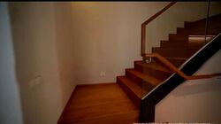 Belgravia Ace (D28), Semi-Detached #593113821
